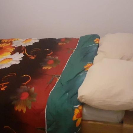 Lovely 1 Private Bedroom With Garden View Rotterdam Zewnętrze zdjęcie